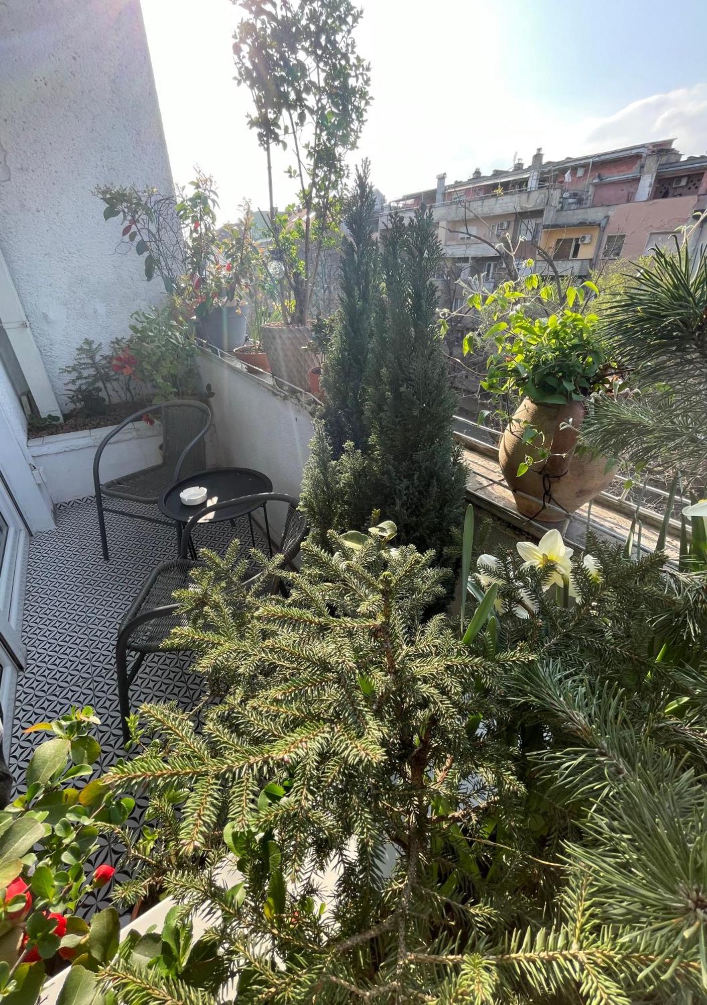Apartman Avenia 노비사드 외부 사진